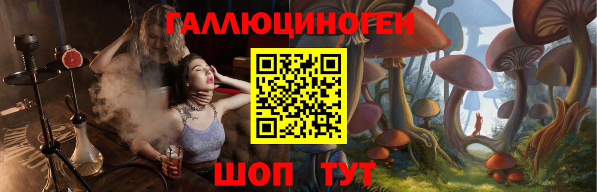 Псилоцибиновые грибы мицелий Красногорск