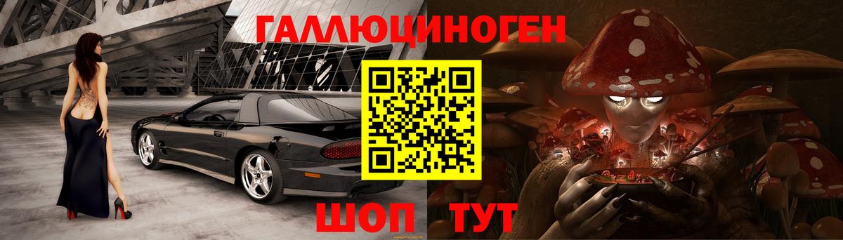 Красногорск  Галлюциногенные грибы Cubensis  Вход с VPN 